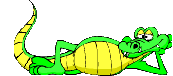 Plaatjes Aligators Aligator Krokodil Ontspannen Liggend