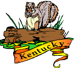 Amerika Plaatjes America Kentucky Eekhoorn