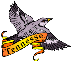 Amerika Plaatjes Amerika Tennesse