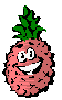 Ananas Plaatjes Ananas Die Op Een Framboos Lijkt