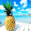 Ananas Plaatjes Ananas Op Vakantie