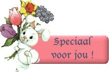 Plaatjes Animatie tekst Speciaal Voor Jou