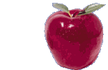 Appels Plaatjes Appel Met Worm