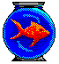 Plaatjes Aquarium Vis In Een Te Kleine Vissenkom