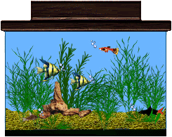 Plaatjes Aquarium Aquarium Met Vissen