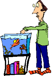 Plaatjes Aquarium Man Voert Vissen Aquarium