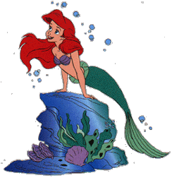 Ariel Plaatjes Ariel Op Rots