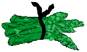 Asperge Plaatjes Groene Asperges