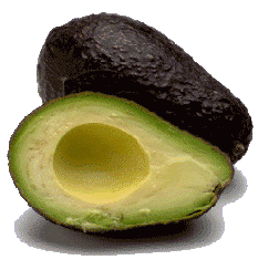 Avocado Plaatjes Avocado Zonder Vrucht Pit