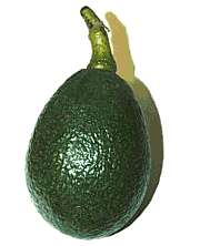 Avocado Plaatjes Groene Avocado