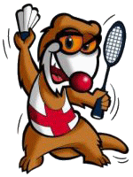 Badminton Plaatjes 