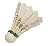 Badminton Plaatjes 