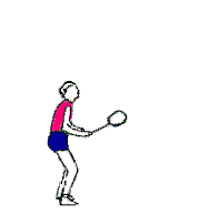 Badminton Plaatjes 