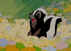 Bambi Plaatjes 