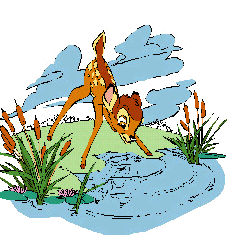 Bambi Plaatjes 
