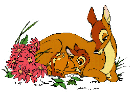 Bambi Plaatjes 