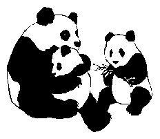 Plaatjes Beren panda 