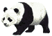 Plaatjes Beren panda 