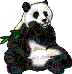 Plaatjes Beren panda Pandabeer Eet Bamboe