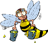Bijen Plaatjes 