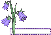 Plaatjes Blinkies bloemen leeg 