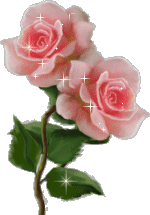 Bloemen Plaatjes 