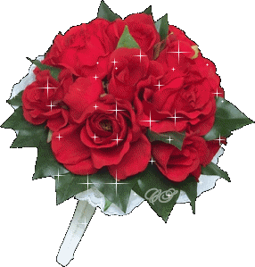 Bloemen Plaatjes 