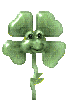 Bloemen Plaatjes 