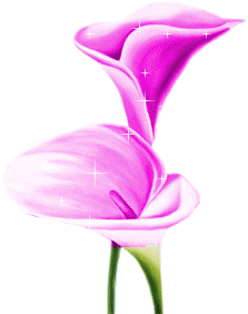 Bloemen Plaatjes 