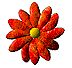 Bloemen Plaatjes 