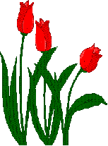 Bloemen Plaatjes 