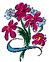 Bloemen Plaatjes 