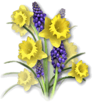 Bloemen Plaatjes 