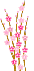Bloemen Plaatjes 