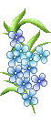 Bloemen Plaatjes 