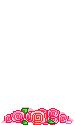 Bloemen Plaatjes 