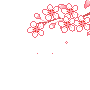 Bloemen Plaatjes 