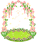 Bloemen Plaatjes 