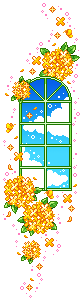 Bloemen Plaatjes 