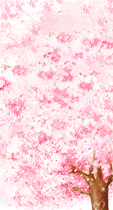 Bloemen Plaatjes 