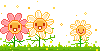 Bloemen Plaatjes 