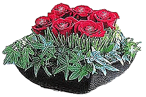 Bloemen Plaatjes 