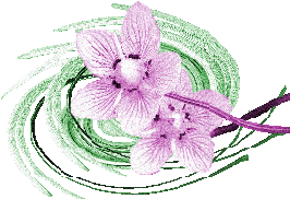 Bloemen Plaatjes 