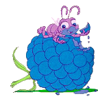 Plaatjes Bugslife 