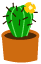 Plaatjes Cactussen Mini Cactus Met Gele Bloem