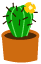 Plaatjes Cactussen Mini Cactus Met Gele Bloem