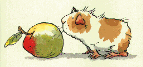 Cavia Plaatjes Cavia Eet Appel Cartoon