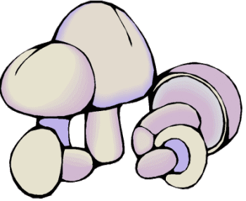 Plaatjes Champignon 