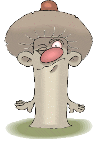 Plaatjes Champignon 