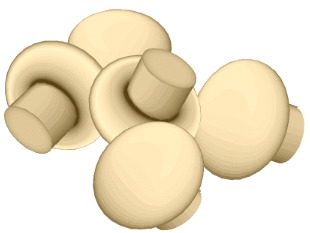 Plaatjes Champignon 